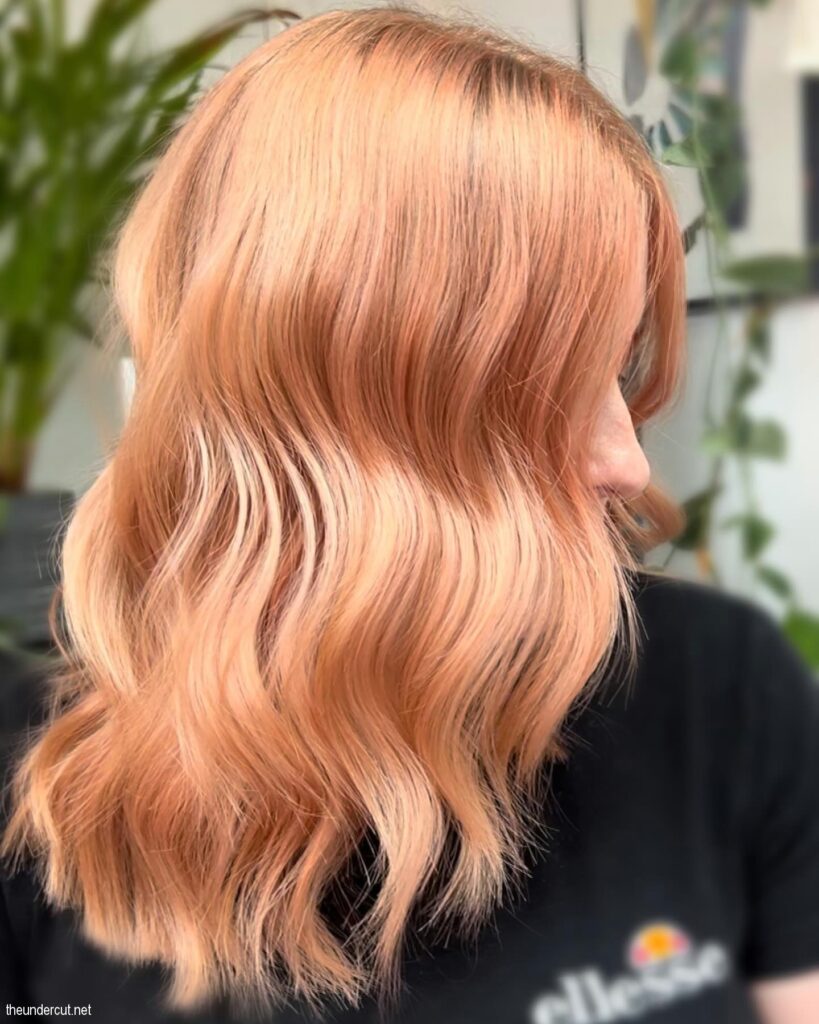 Elegant Apricot Hair
